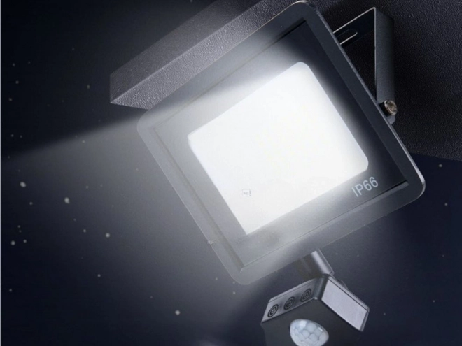 Kültéri LED Reflektor 30W Mozgás- és Alkonyatérzékelővel IP66
