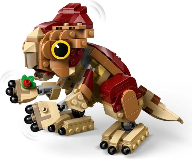 Megépíthető növény és részletgazdag kidolgozás