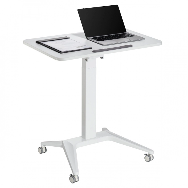 Univerzális állítható laptopasztal