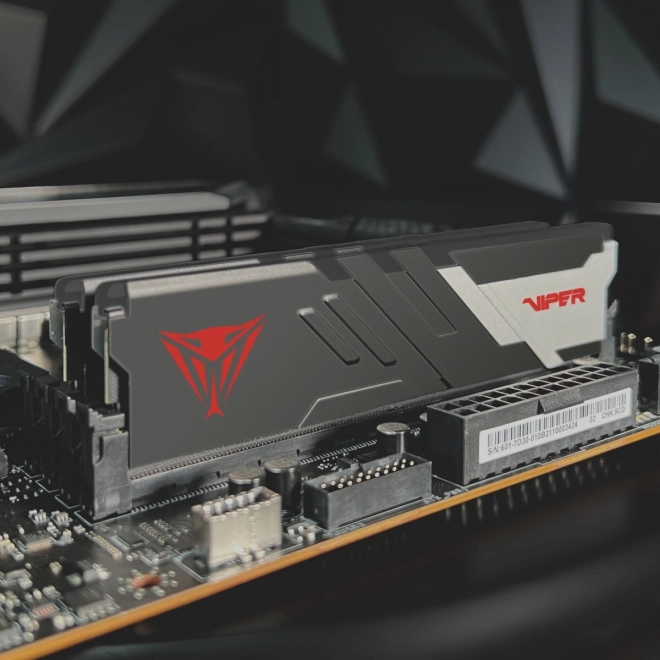 Viper Venom DDR5 memória 32GB/6000 CL30