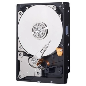 Western Digital Blue 1TB merevlemez