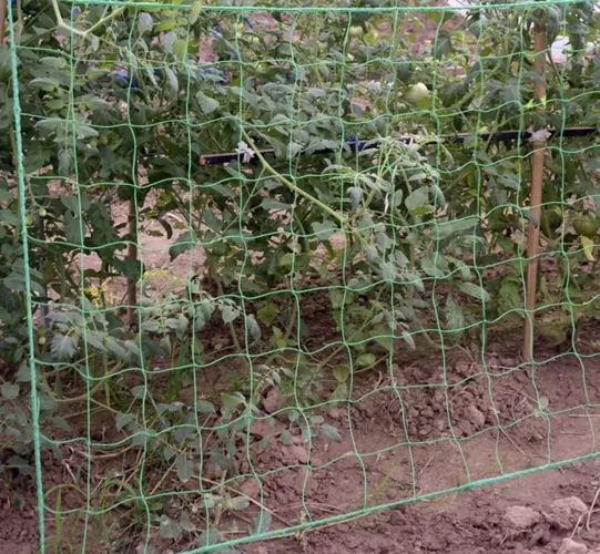 Zöld Gardlov növénytámasztó háló 2x10m