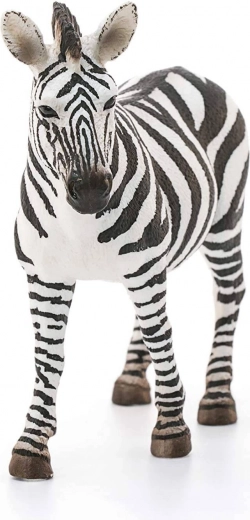 Ideális gyűjteményhez és tanuláshoz