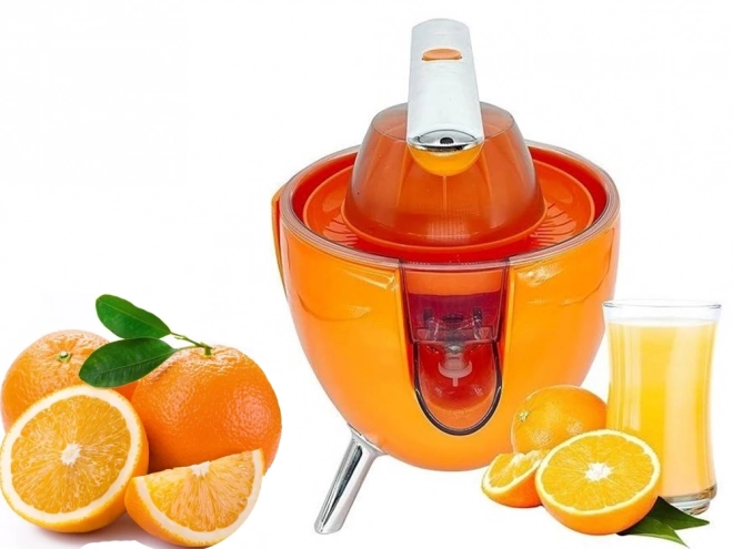 Elektromos citrusprés