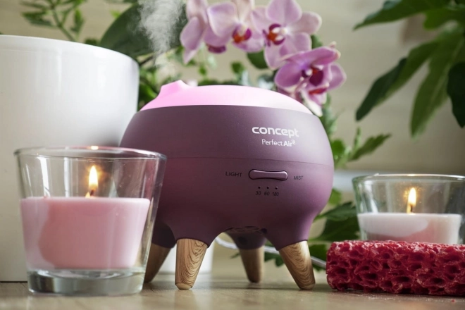 Concept Perfect Air Berry illatdiffúzor