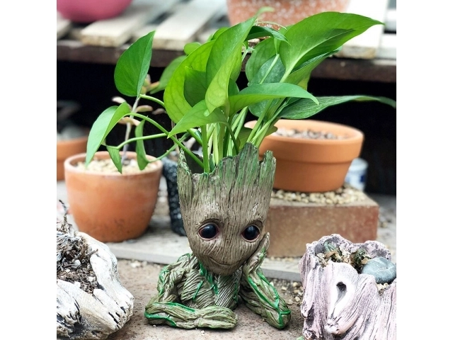 Groot virágcserép