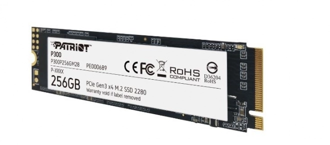 P300 M.2 PCIe SSD