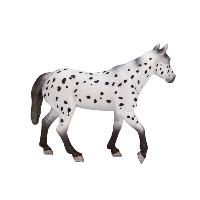 Mojo appaloosa mén