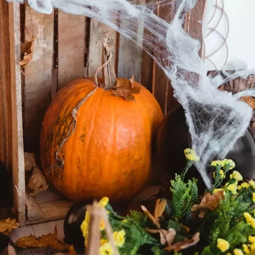 Műpókháló 2 pókkal halloweenra