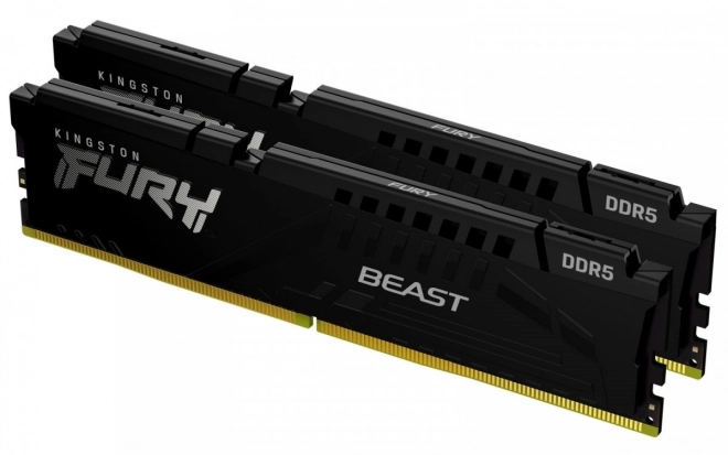 Fury Beast Black DDR5 RAM 16GB