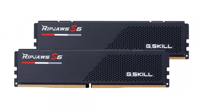 Ripjaws S5 96GB DDR5 Memória