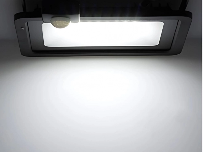 Kültéri LED Reflektor 30W Mozgás- és Alkonyatérzékelővel IP66