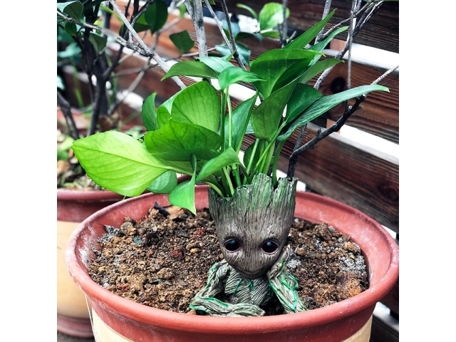 Groot virágcserép