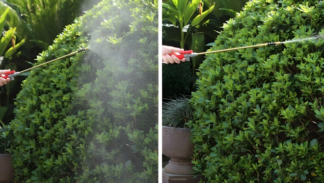 Kertészeti nyomáspermetező MultiGarden 8L
