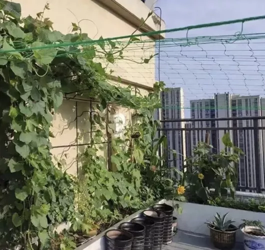 Zöld Gardlov növénytámasztó háló 2x10m