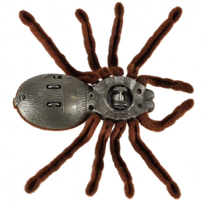 Távirányítós tarantula pók