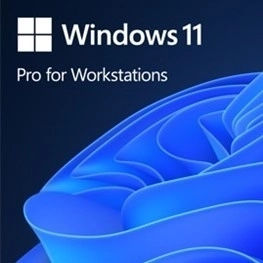 Windows 11 Pro for Workstations