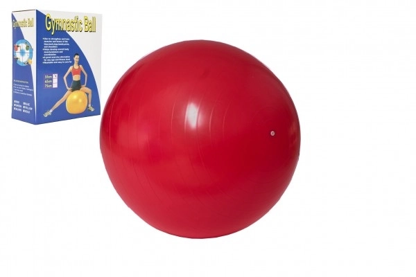 Gimnasztikai labda - 55 cm