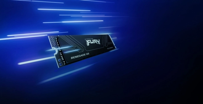 SSD Kingston FURY Renegade G5 1TB NVMe 5.0 M.2