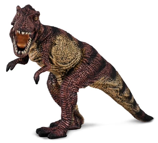 Tyrannosaurus figura