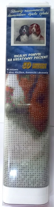 Chlupatá Dvojka Gyémánt Festés Készlet 30x40cm