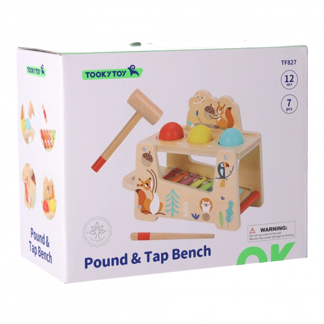 Pound & Tap pad TOOKY TOY