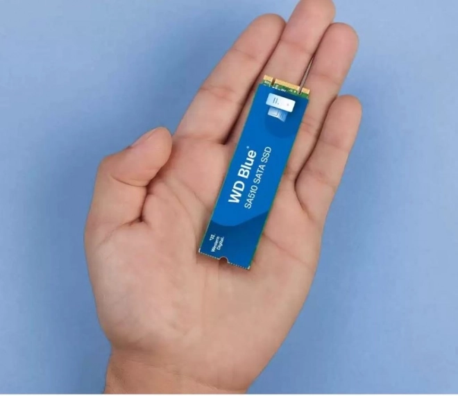 Kreativitást növelő WD Blue SA510 2TB M.2 SSD
