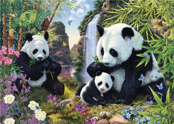 Rejtett pandák puzzle 1000 darabbal – Secret Collection