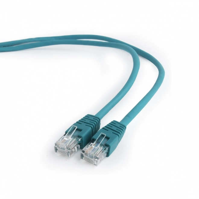 Zöld Patch Cord Kategória 5e 1M