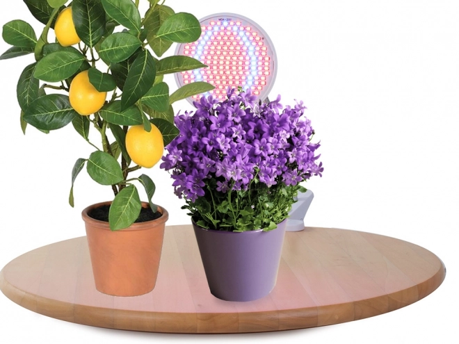 LED lámpa növények termesztéséhez 20W
