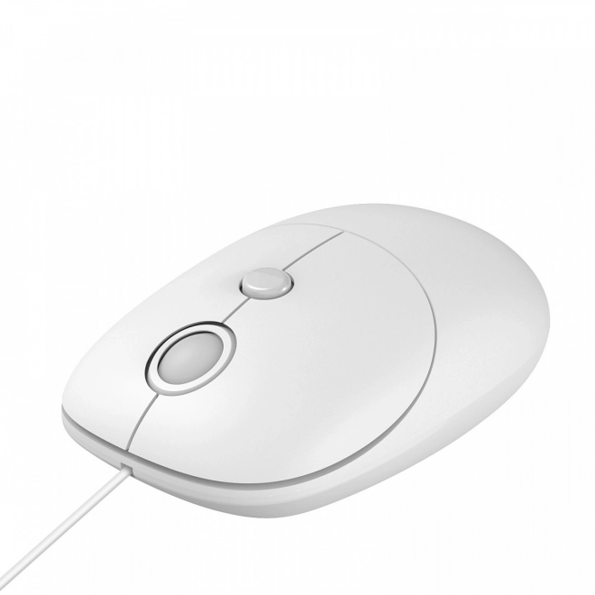 IBox Seagull elegáns egér