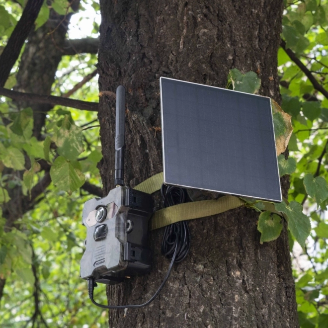 Napelemes vadkamera Technaxx 4G Wildcam