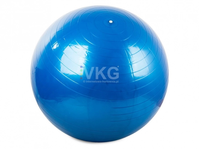 Gimnasztikai labda pumpával 65 cm