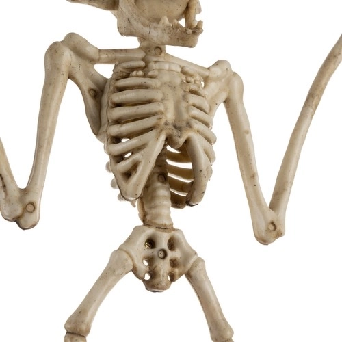 Tízledár új zéland őszi kalapács dekoráció halloweenre