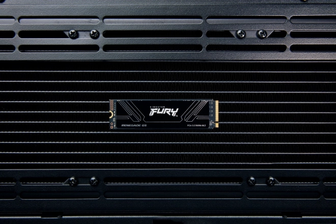 SSD Kingston FURY Renegade G5 1TB NVMe 5.0 M.2