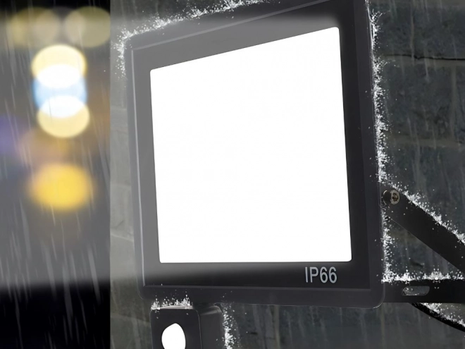 Kültéri LED Reflektor 30W Mozgás- és Alkonyatérzékelővel IP66