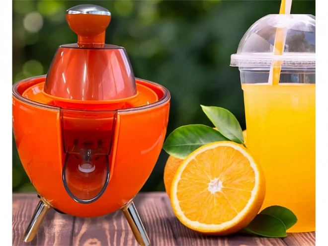 Elektromos citrusprés