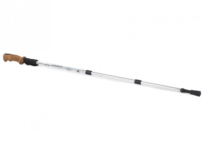 Nordic Walking Trekking Bot Parafa Markolattal – Ezüst