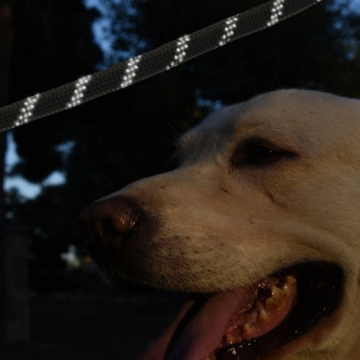 Fényvisszaverő biztonság szürkületben