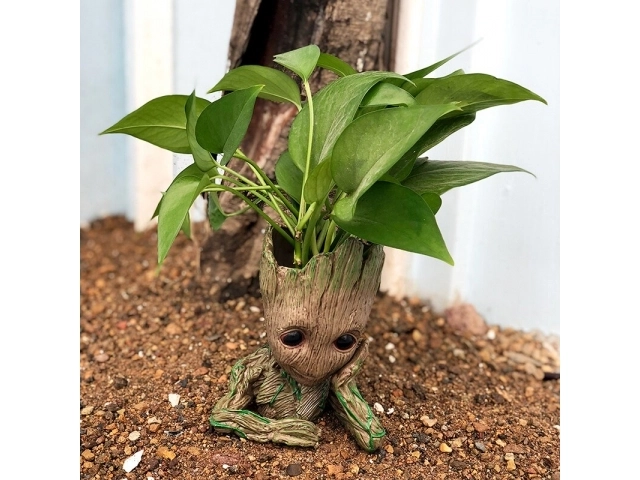 Groot virágcserép
