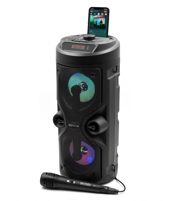 Bluetooth hangszóró Harmony karaoke funkcióval