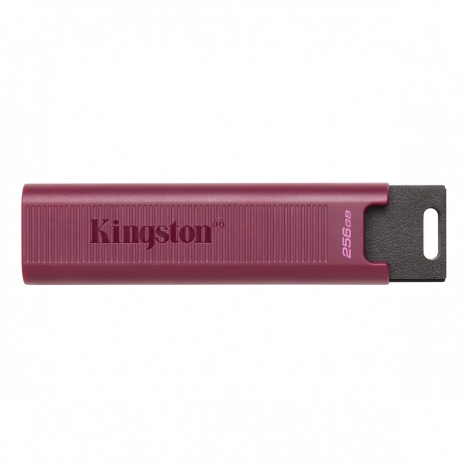 Kingston DataTraveler Max 512GB pendrive