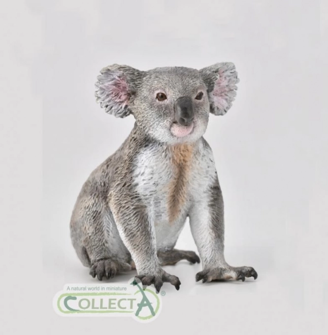 Collecta koala figura