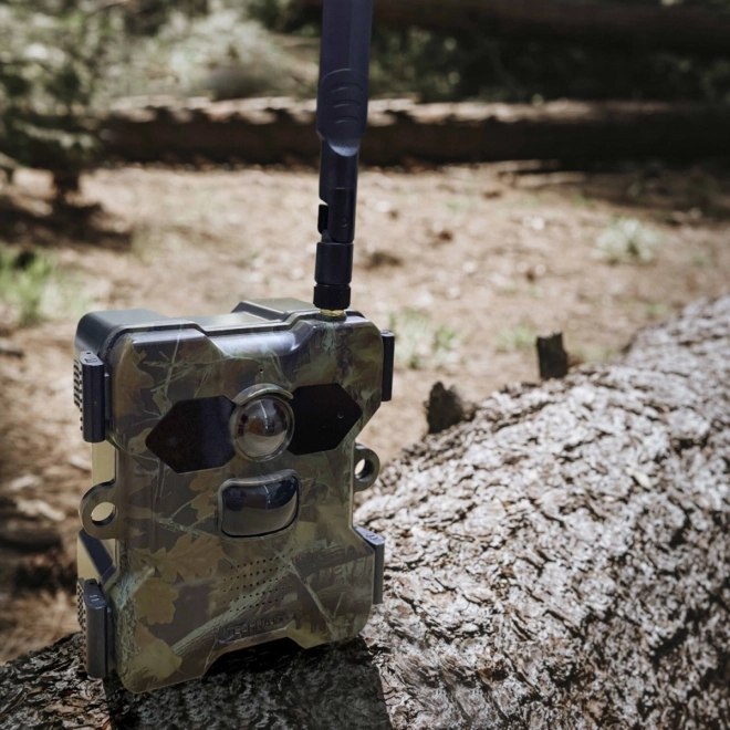 Napelemes vadkamera Technaxx 4G Wildcam