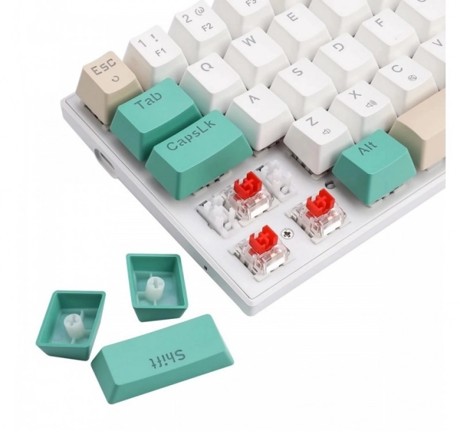 Mechanikus billentyűzet RGB világítással
