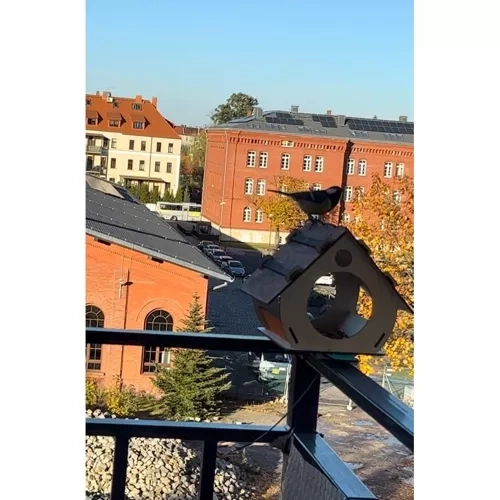Fa madáretető DIY készlet
