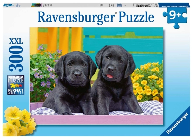 Fekete labradorok XXL puzzle 300 darab