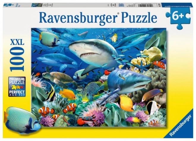 Ravensburger cápazátony puzzle 100 darabos