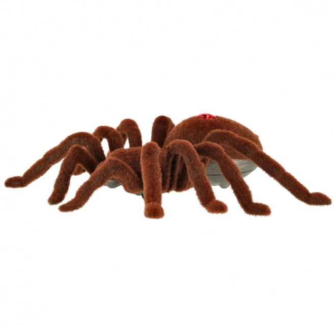 Távirányítós tarantula pók