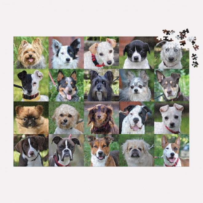 Galison Puzzle Mentett kutyák 1000 darabos